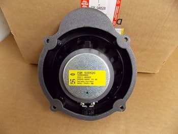 41O+oWChCPL._UF350,350_QL80_.jpg